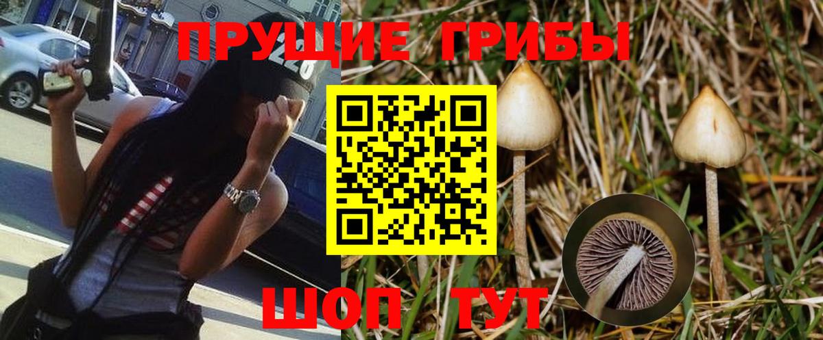 Конаково  Галлюциногенные грибы мухоморы  Вход с VPN  Галлюциногенные грибы MAGIC MUSHROOMS 